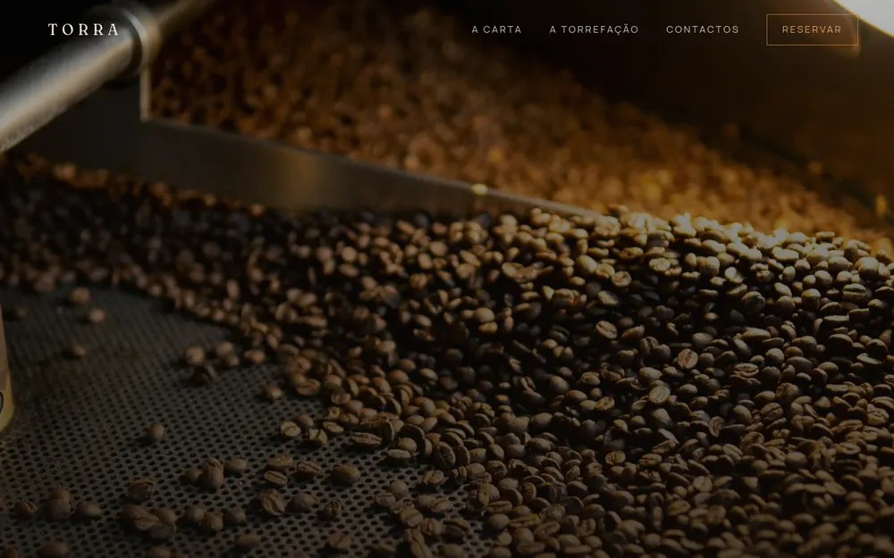 Pré-visualização do site TORRA